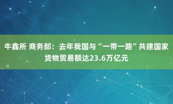 牛鑫所 商务部：去年我国与“一带一路”共建国家货物贸易额达23.6万亿元